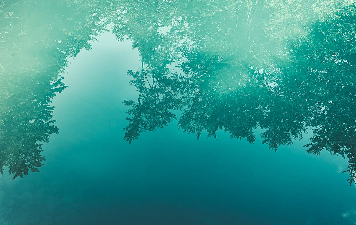 A stark reflection in a blue hole natural spring, the eye of the grasshopper.