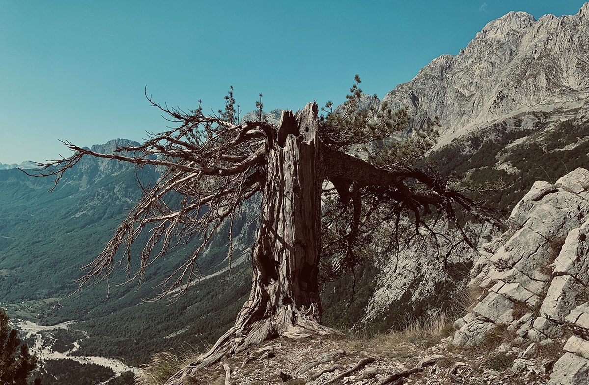 A look back into Theth valley on Stage 9 of the Peaks Of The Balkans, the wrong way 'round.